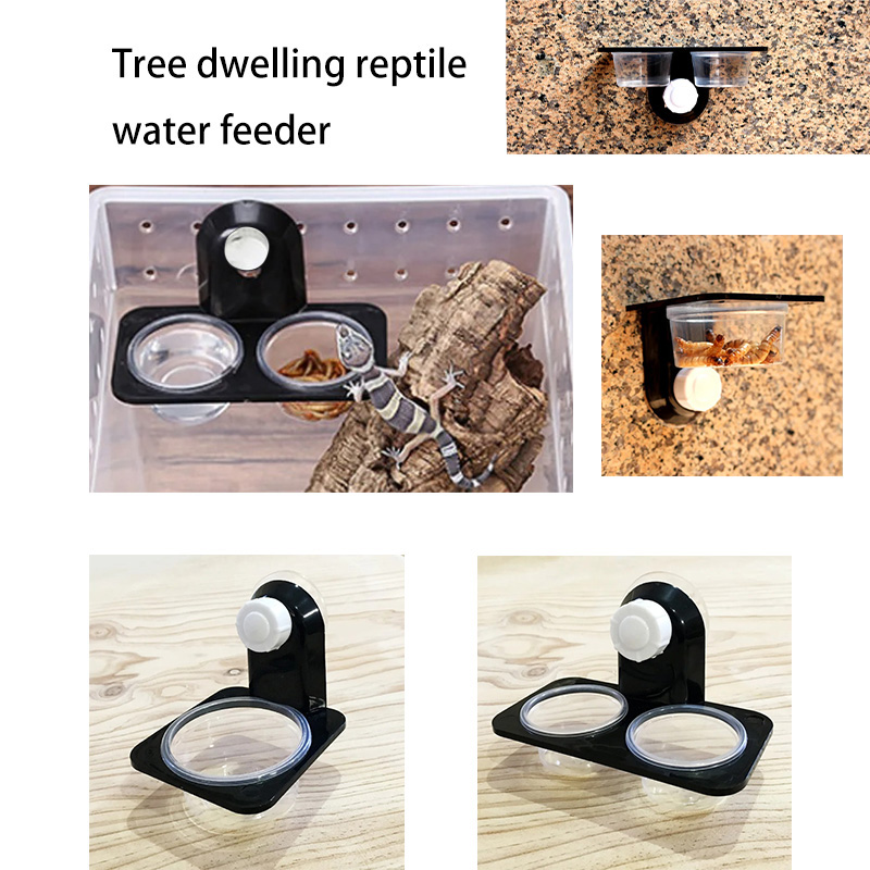 Pet Supplies Is Food - الزواحف خزان الملحقات الحشرات العنكبوت النمل