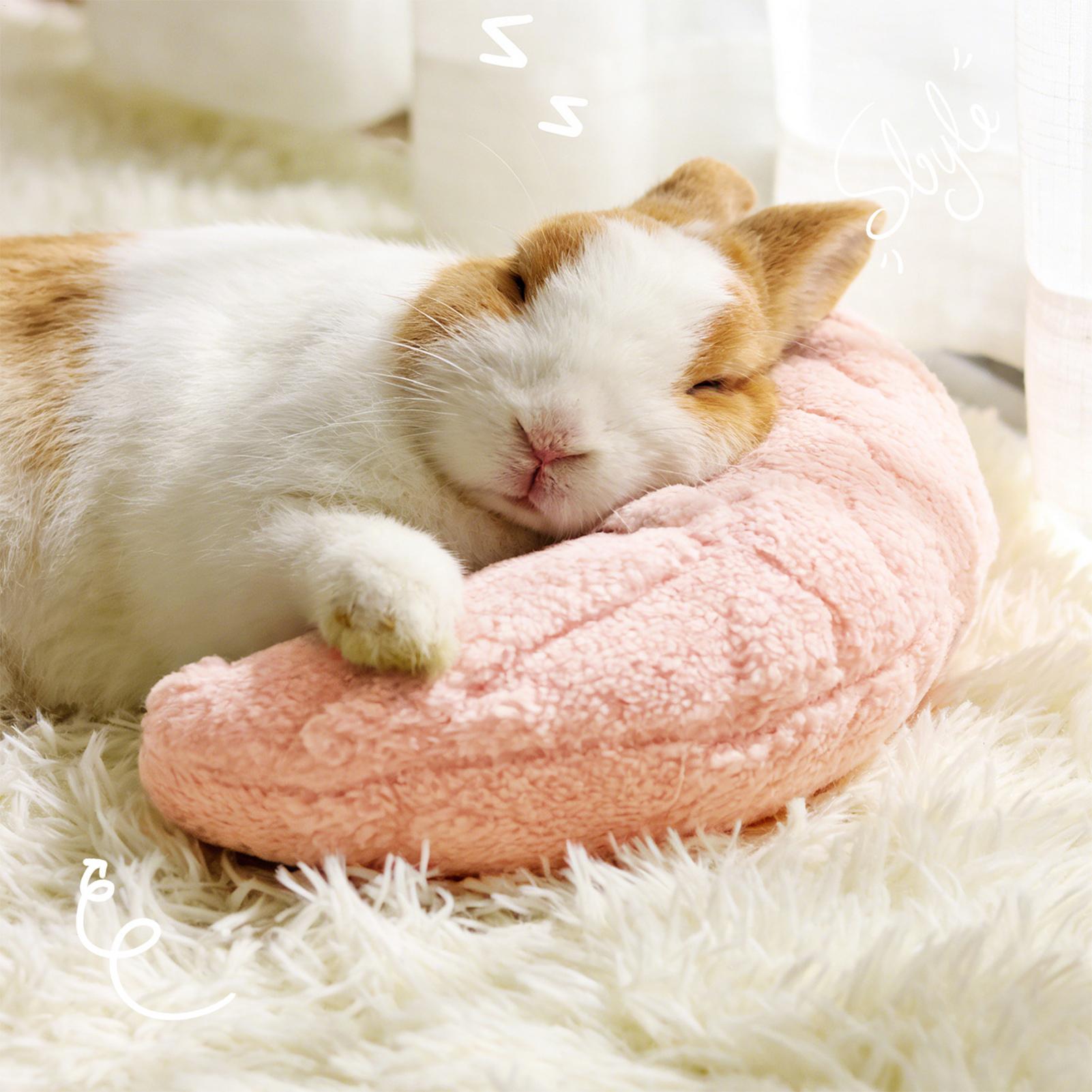 Pet Supplies App - وسادة صغيرة للحيوانات الأليفة على شكل