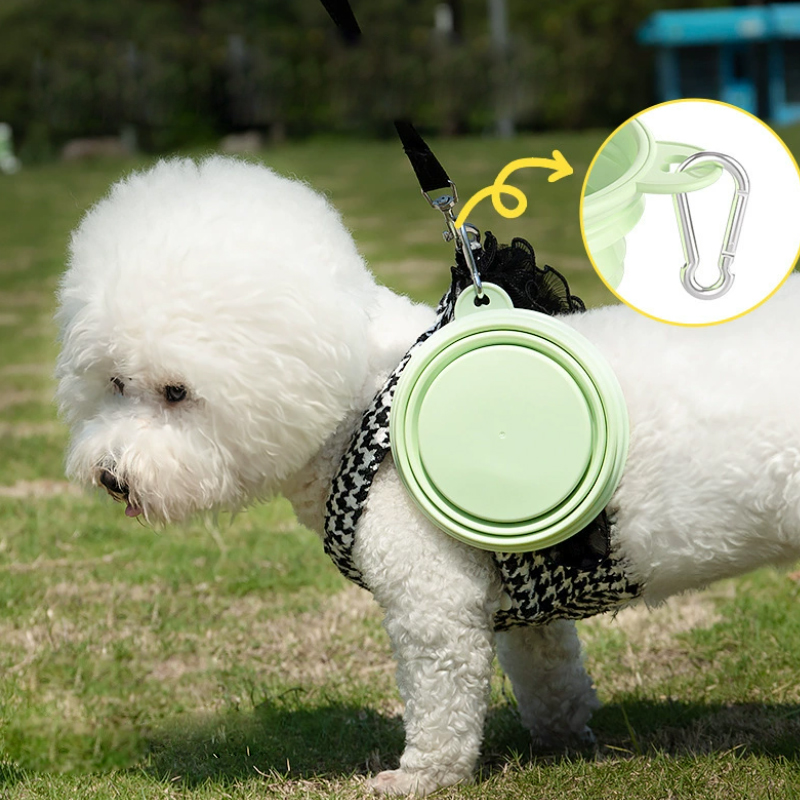 لون مستلزمات الحيوانات الأليفة - مراجعة Pet Supplies Is Food وسعره