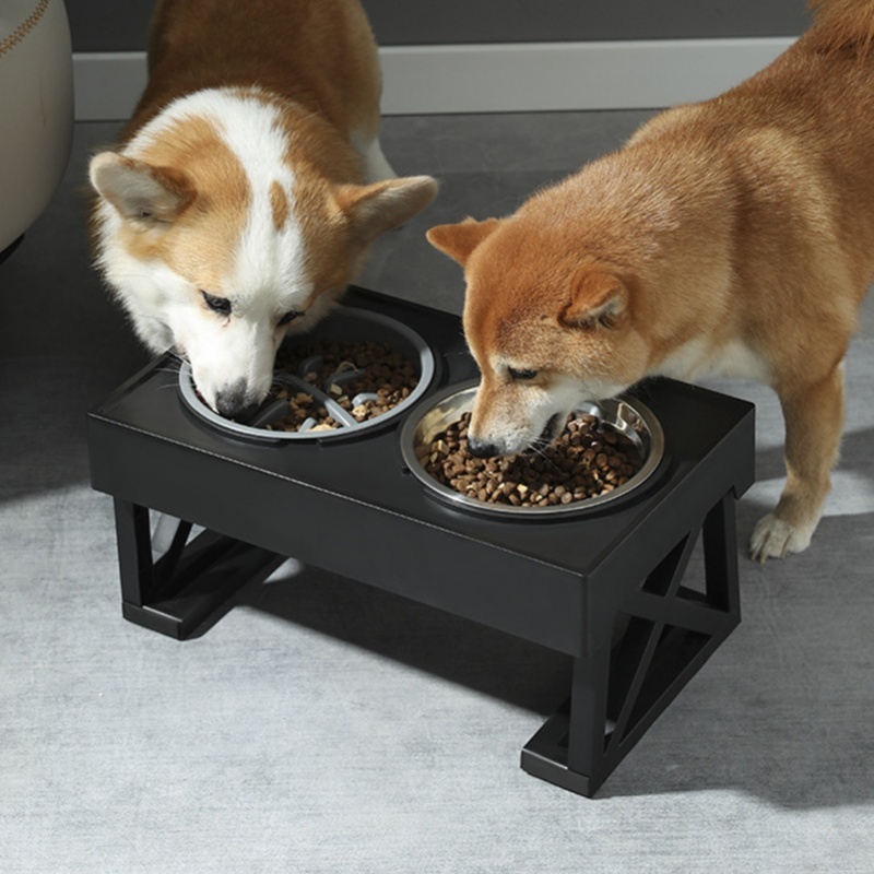 وعاء الكلب ذو التغذية البطيئة  - مراجعة Slow Feeder Dog Bowl وسعره