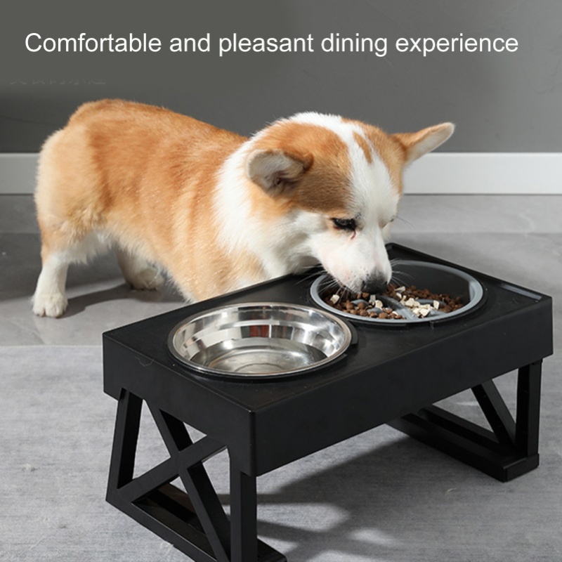 وعاء الكلب ذو التغذية البطيئة  - مراجعة Slow Feeder Dog Bowl وسعره