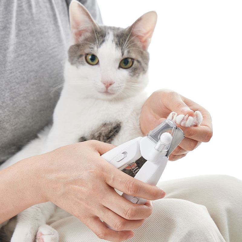 ماكينة حلاقة الشعر للكلاب من P - مراجعة Pet Supplies Grooming Hours وسعره