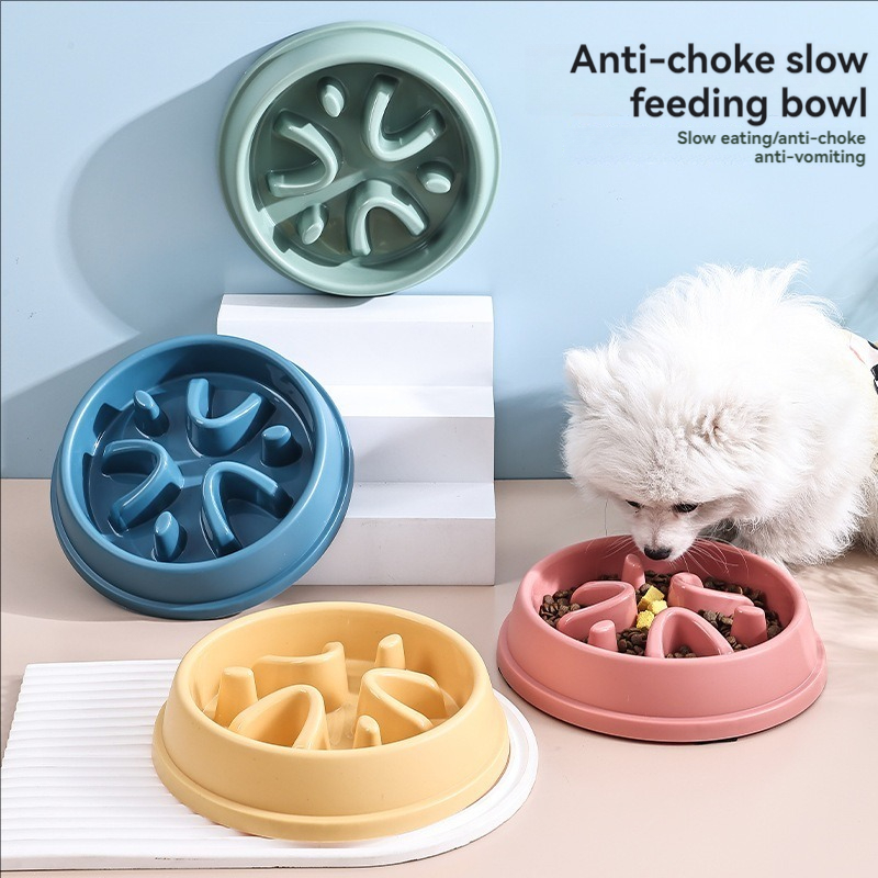 مستلزمات الحيوانات الأليفة الك - مراجعة Slow Feeder Dog Bowl وسعره
