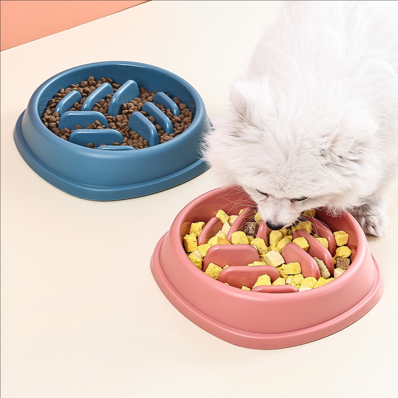 مستلزمات الحيوانات الأليفة الك - مراجعة Slow Feeder Dog Bowl وسعره