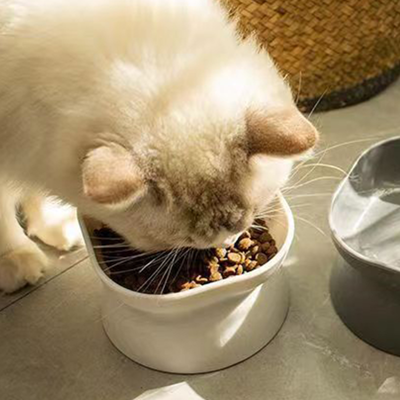 وعاء طعام للقطط/الكلاب ثنائي ا - مراجعة Slow Feeder Dog Bowl وسعره