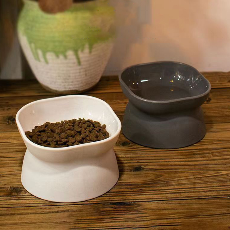 وعاء طعام للقطط/الكلاب ثنائي ا - مراجعة Slow Feeder Dog Bowl وسعره