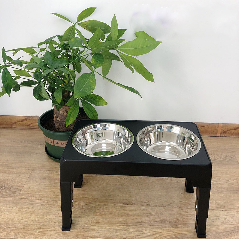 أوعية تغذية الكلاب المرتفعة من - مراجعة Slow Feeder Dog Bowl وسعره