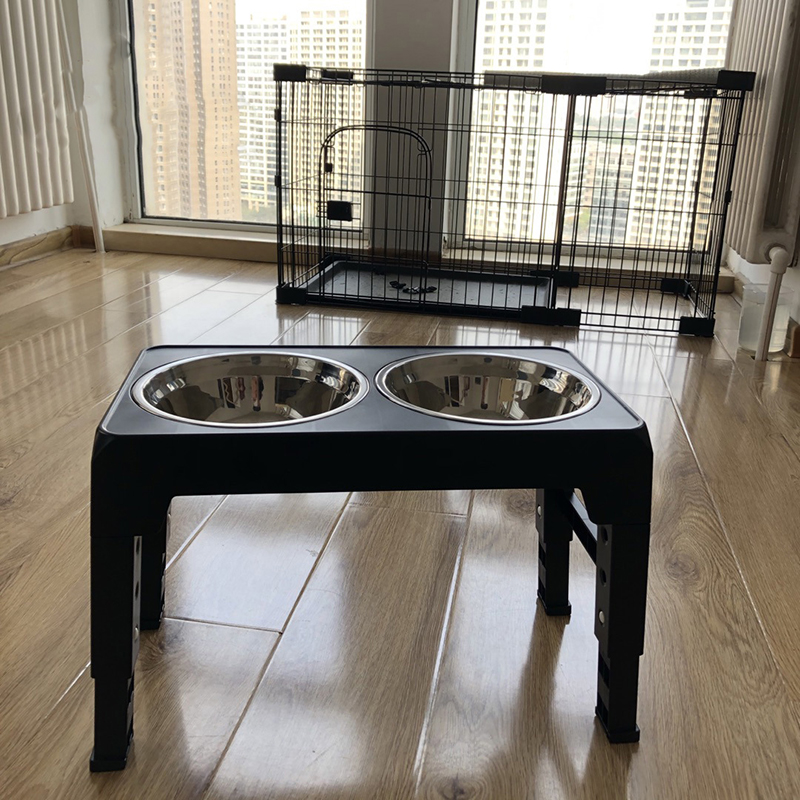 أوعية تغذية الكلاب المرتفعة من - مراجعة Slow Feeder Dog Bowl وسعره