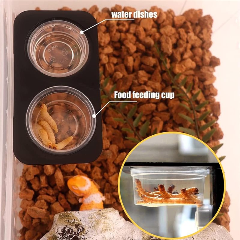 أكواب طعام وماء للسحالي (120 ق - مراجعة Pet Supplies Is Food وسعره