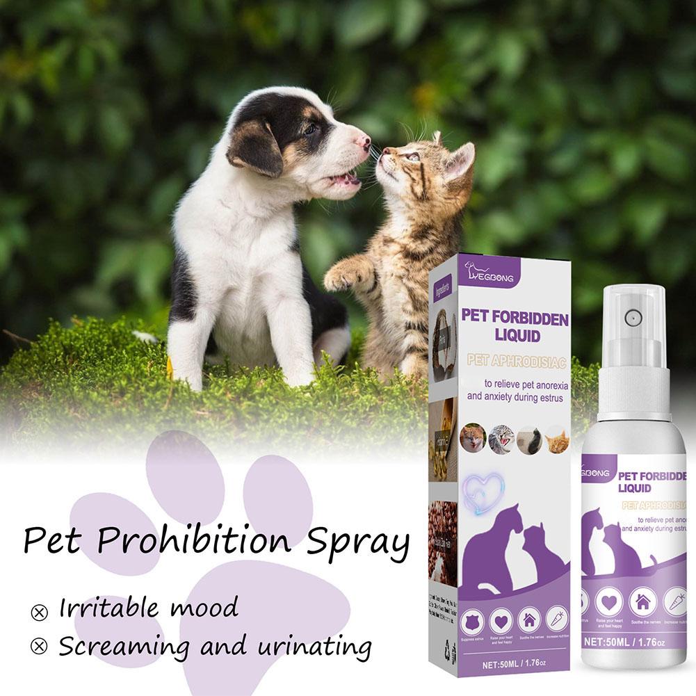 1/3/5 قطعة الحيوانات الأليفة ت - مراجعة Pet Supplies App وسعره