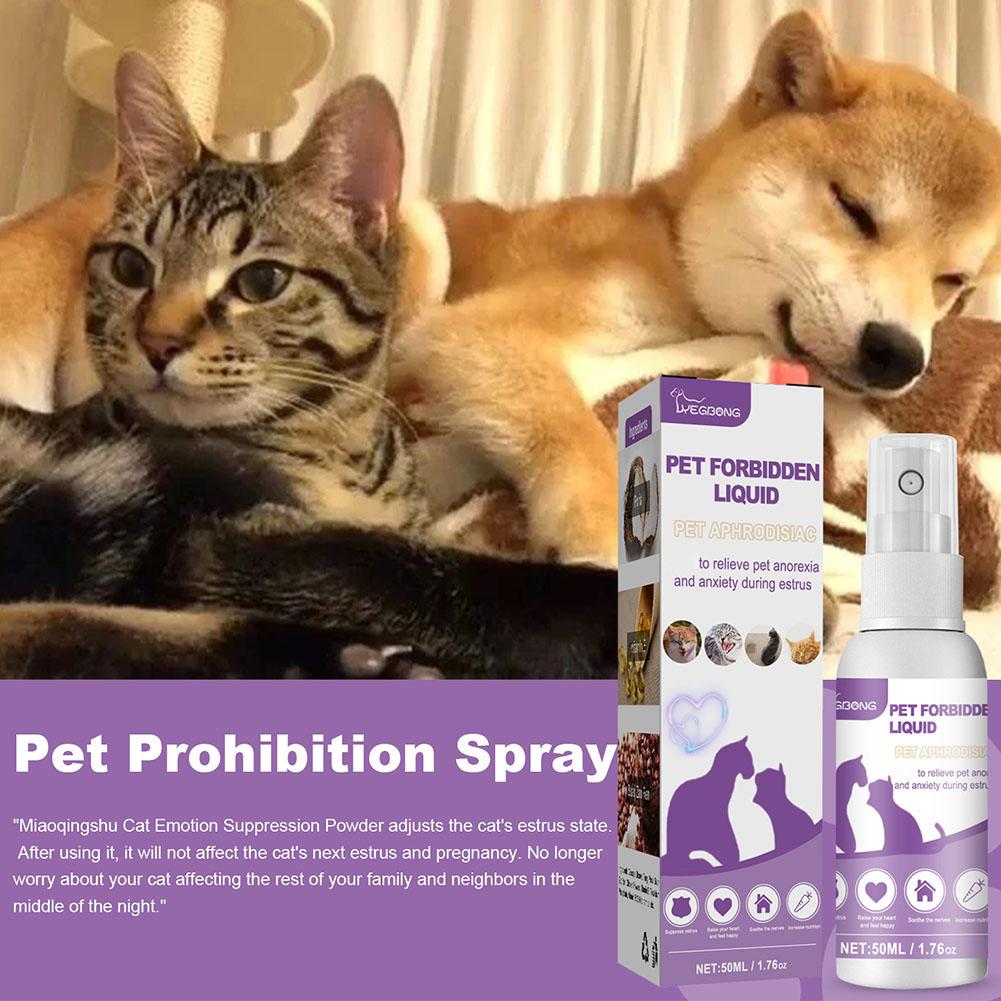 1/3/5 قطعة الحيوانات الأليفة ت - مراجعة Pet Supplies App وسعره
