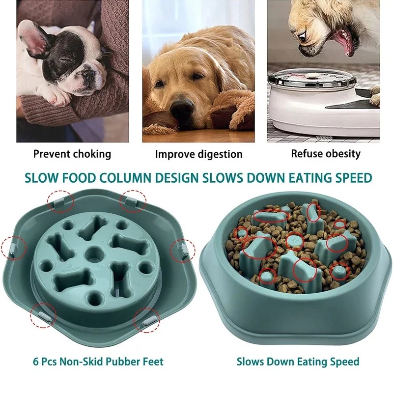 وعاء طعام للكلاب بطيء التناول  - مراجعة Slow Feeder Dog Bowl وسعره